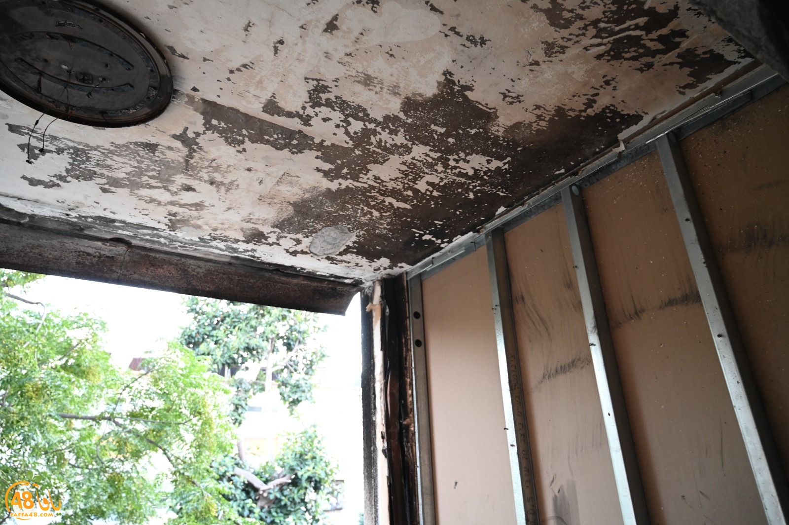 WhatsApp Image 2023-09-21 at 8.03.32 PM.jpeg